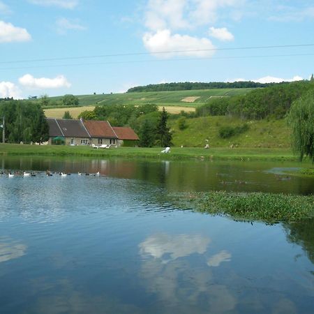 לינה וארוחת בוקר Châtillon-sur-Marne Domaine Du Moulin De L'Etang מראה חיצוני תמונה