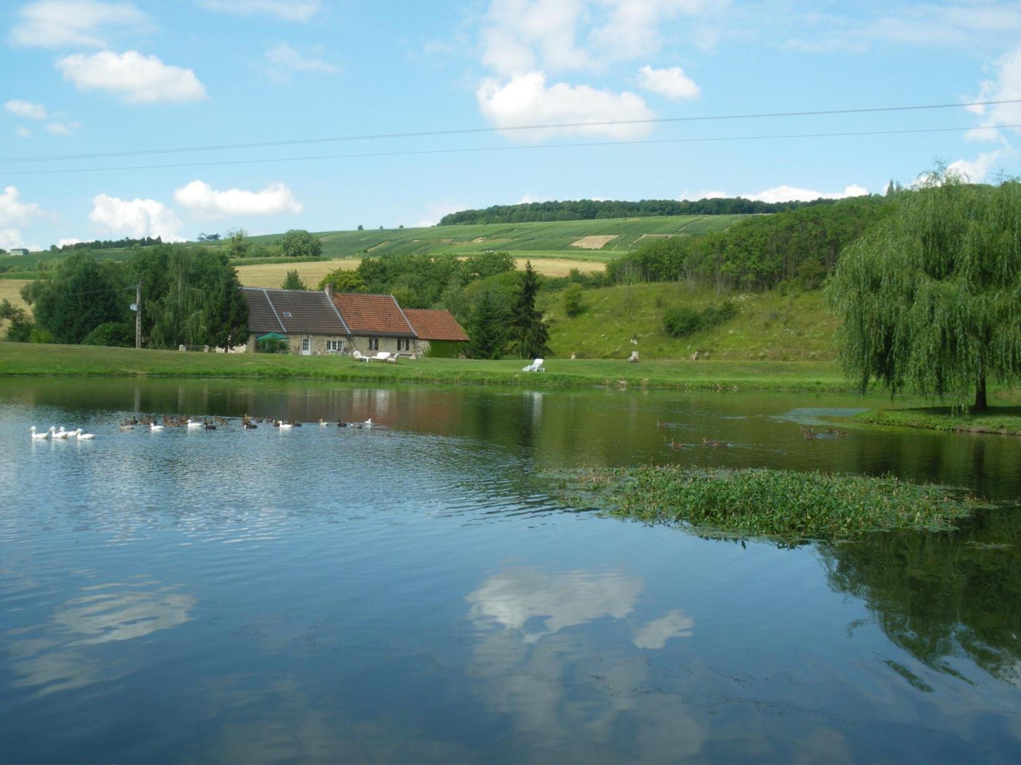 לינה וארוחת בוקר Châtillon-sur-Marne Domaine Du Moulin De L'Etang מראה חיצוני תמונה